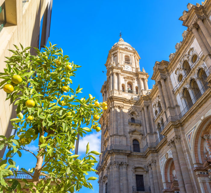 Catedral de Málaga Hoteles Andalucía España
